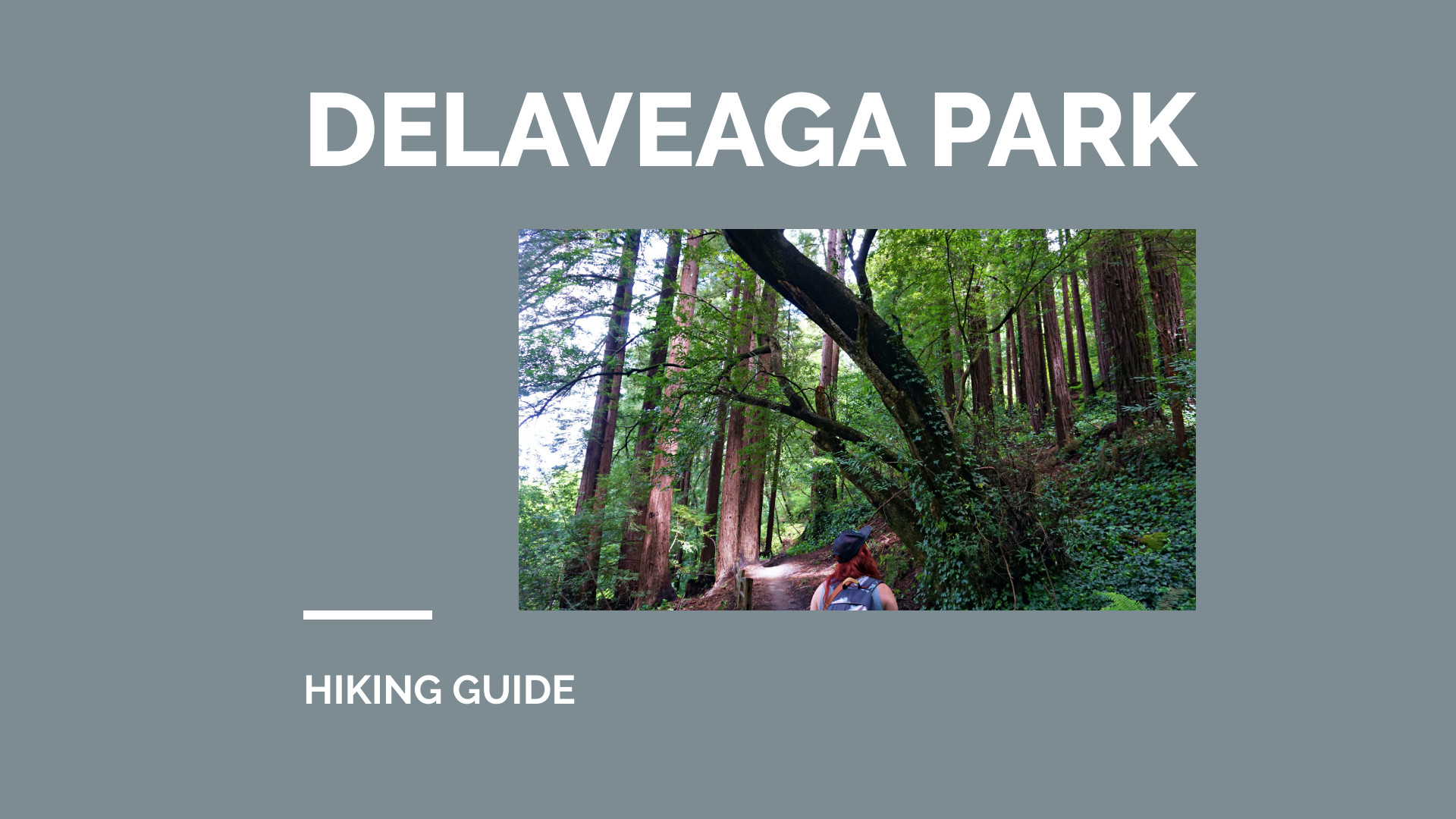 DeLaveaga Park in Santa Cruz: Day Hike